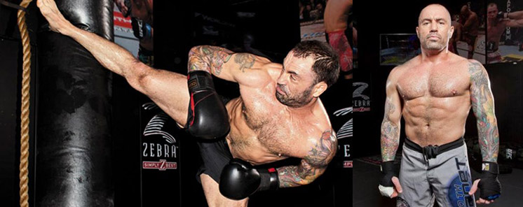 Joe Rogan Supplements List – What He Takes & Why (2026)